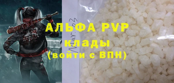 стаф Абинск