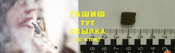 гидра Алексеевка