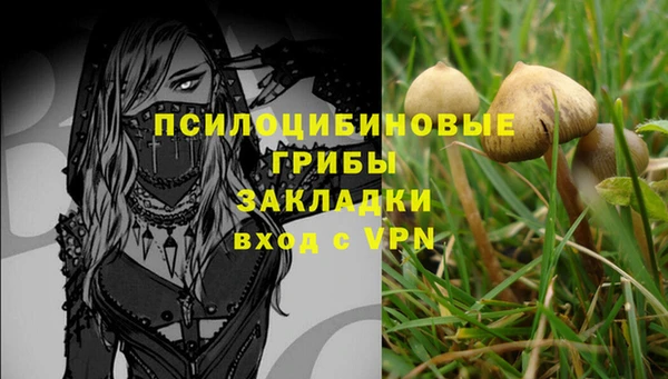 героин Алексин