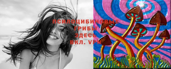 героин Алексин
