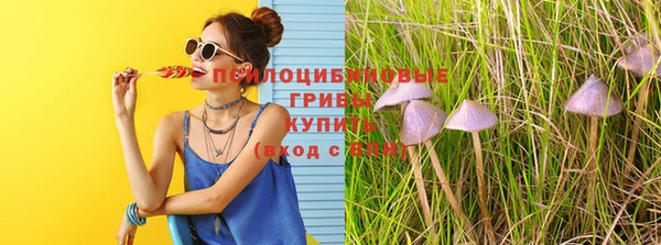гидра Алексеевка