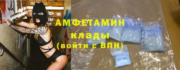 гидра Алексеевка