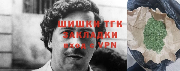 гидра Алексеевка