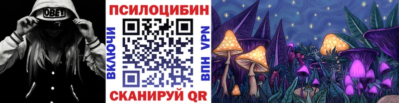 Галлюциногенные грибы MAGIC MUSHROOMS OMG ONION Ак-Довурак